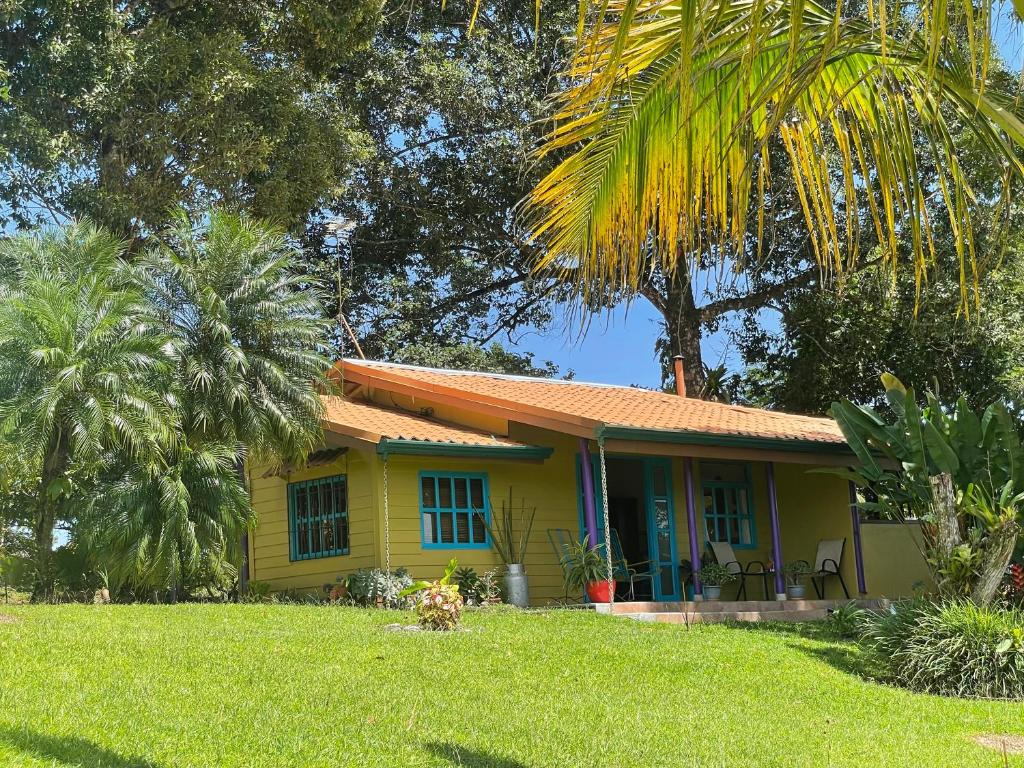 uma casa amarela com uma palmeira num quintal em Equipped cottage in Laguna Hule em Río Cuarto