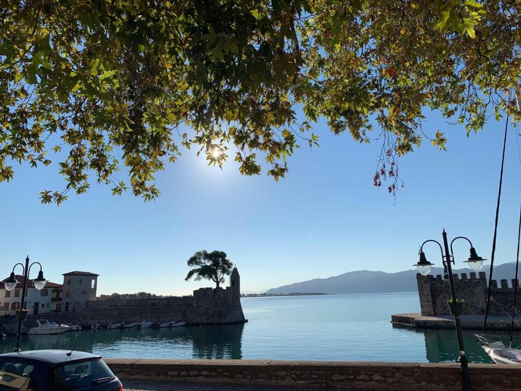 a view of a body of water with a tree at Sea view Villa Dafnes in Nafpaktos