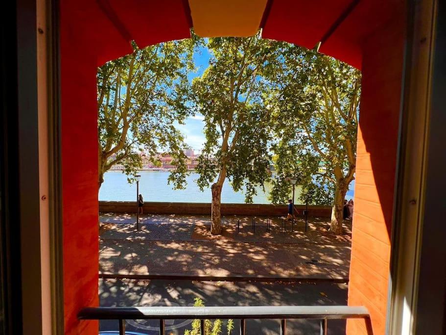 une fenêtre avec vue sur l'eau et les arbres dans l'établissement Mon bout de Garonne - Appartement, à Toulouse