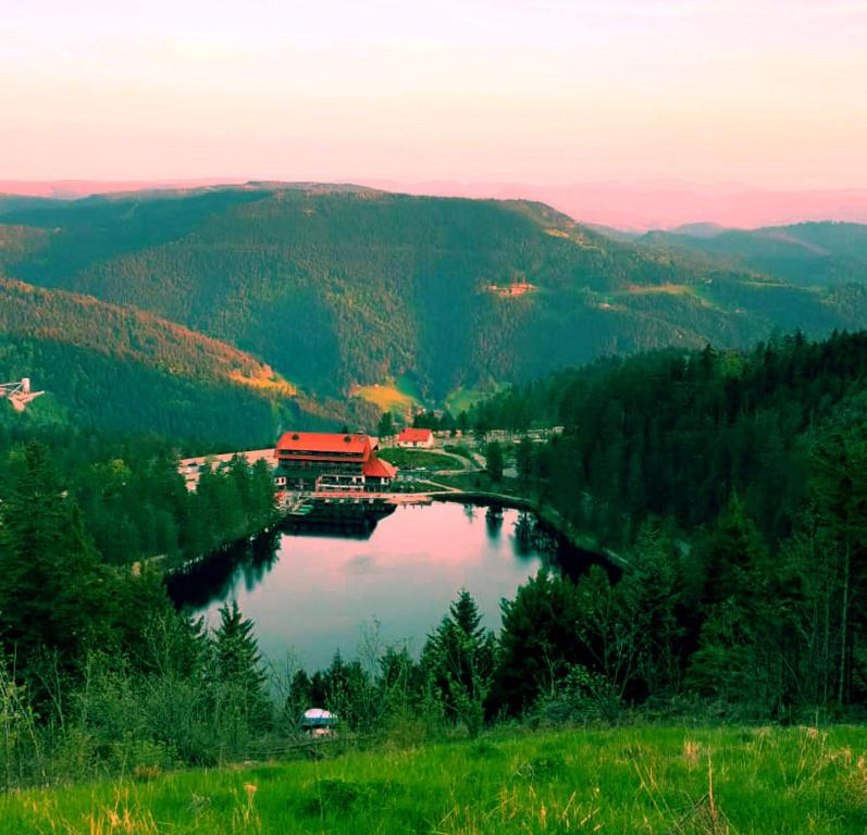 Příroda nedaleko apartmánu