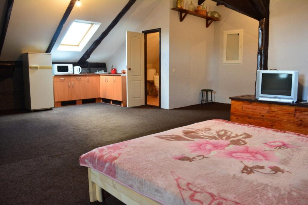 TV a/nebo společenská místnost v ubytování Apart-Hotel Parasolka