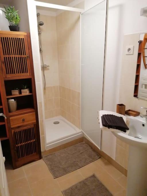 a bathroom with a shower and a sink at LE BLANC, AGREABLE MAISON DE CENTRE VILLE in Le Blanc