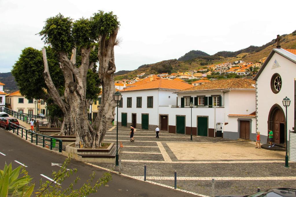 a street in a town with a tree and buildings at Casas do Largo Dos Milagres in Machico