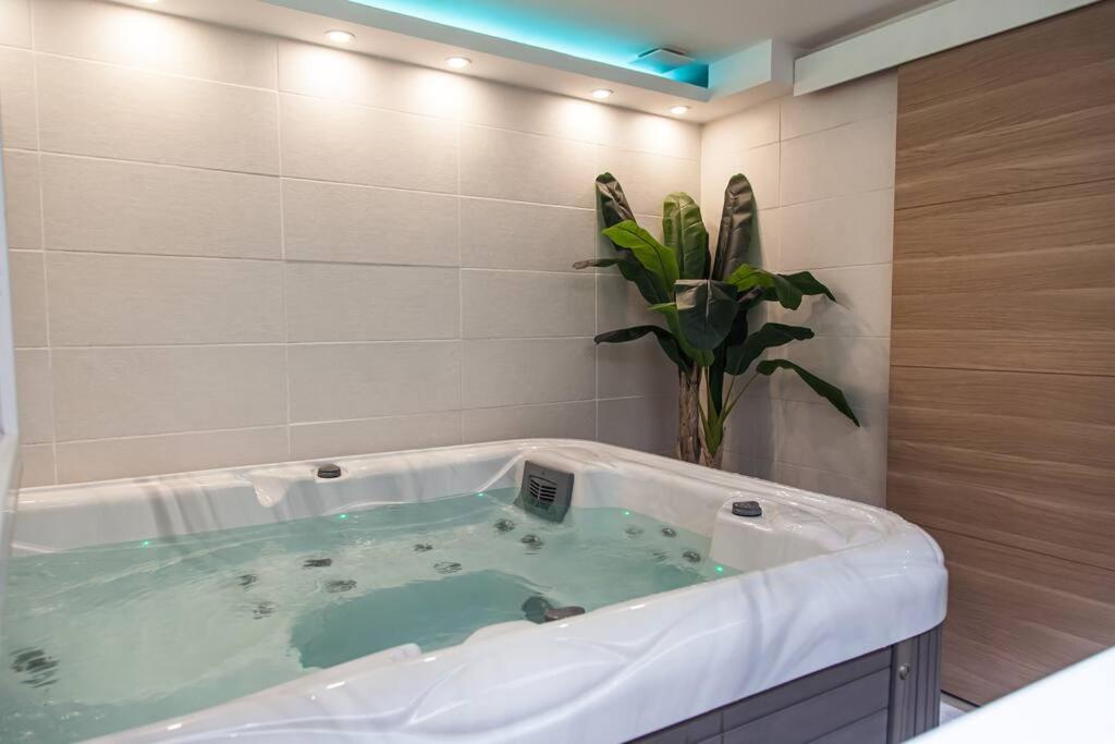 a bath tub with a potted plant in a bathroom at L'Escapade-Hypercentre-Spa-parking privé-tout équipé-refait à neuf in Châteauroux