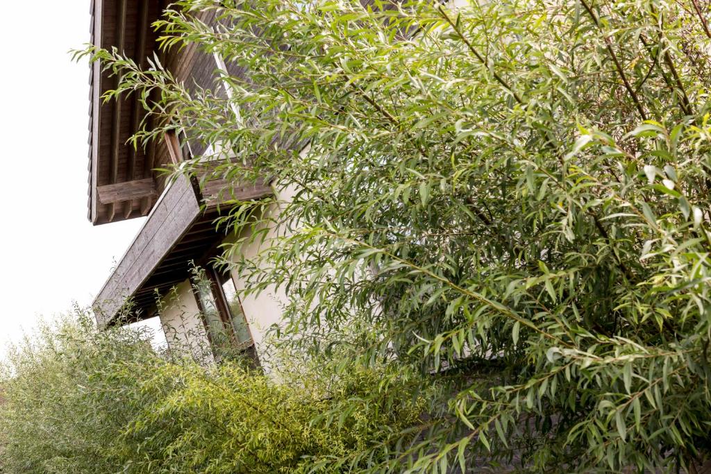 Zahrada ubytování Vakantiewoning StroEnzo