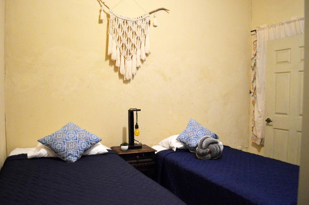 Ave del Paraiso Guest House - Twin Room
