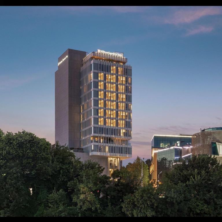 فضای داخلی Hilton Garden Inn Tbilisi Riverview در تفلیس - تصویر ۳