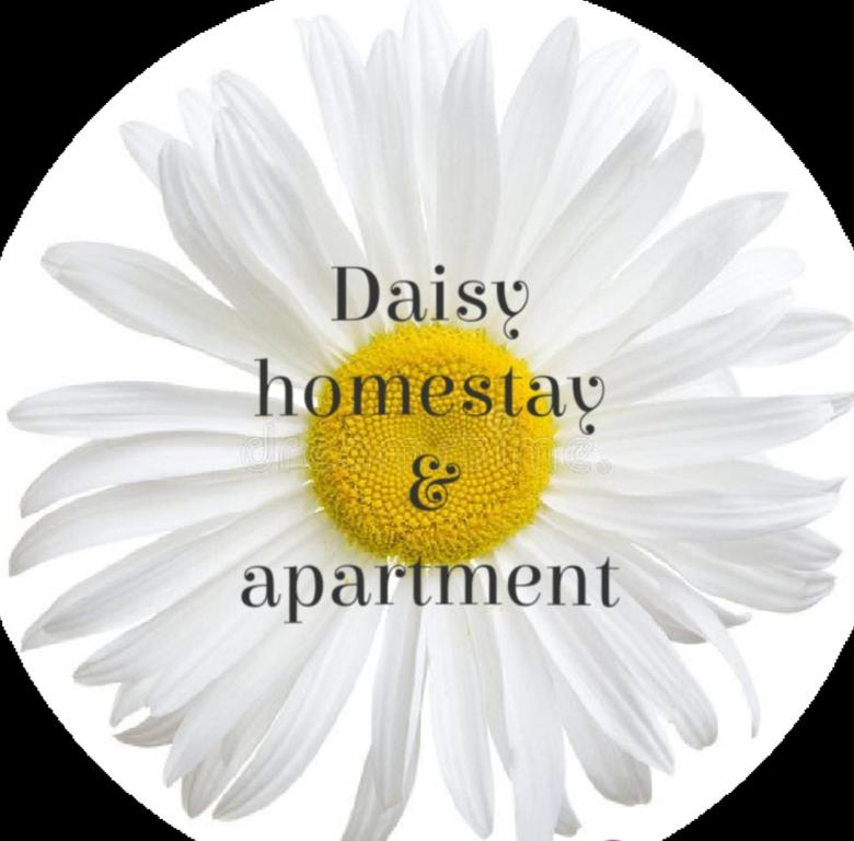 una margarita blanca con las palabras Daisy homosasy y cita en Daisy homestay & apartment en Hai Phong