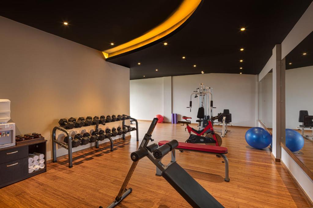 Fitness centrum a/nebo fitness zařízení v ubytování The Golden Ridge Hotel