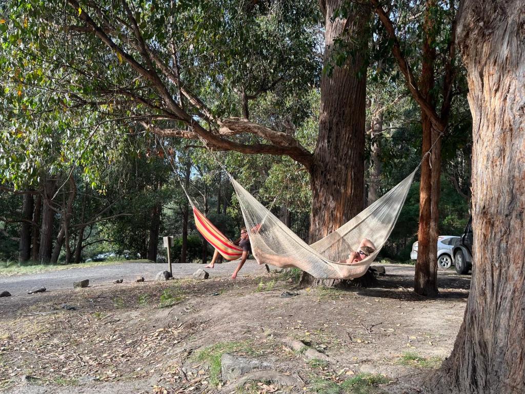 Zahrada ubytování Base Camp Tasmania