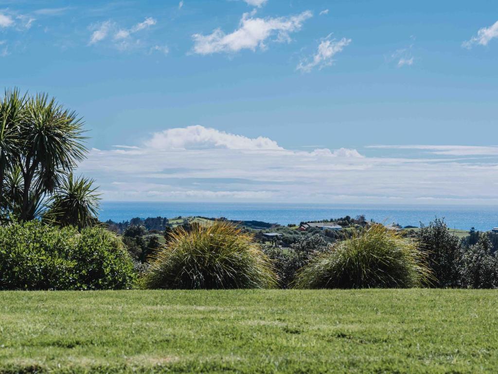 a grassy field with palm trees and the ocean at Matapouri & Tutukaka Spectacular Coastal Views- Aroha Luxury Guest Suite in Tutukaka