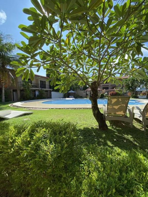 Bazén v ubytování Sierra Resort nebo v jeho okolí