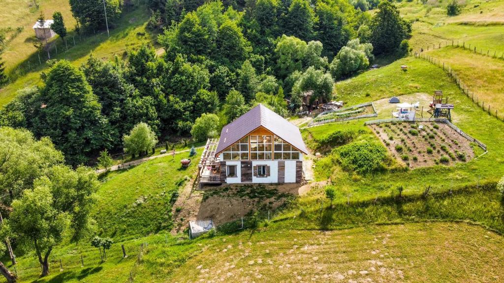 an aerial view of a house on a hill at PENSIUNEA Bori in Gura Humorului