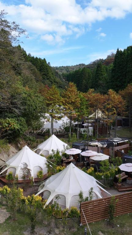 Příroda nedaleko luxury tent
