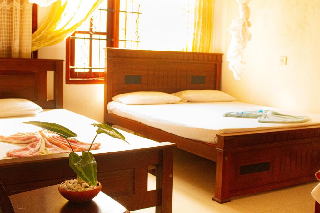 a bedroom with two beds and a potted plant on a table at Golden Town Hostel in Tangalle