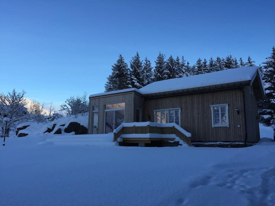 una piccola cabina nella neve con alberi innevati di Gammelstua Seaview Lodge a Kongsjorda
