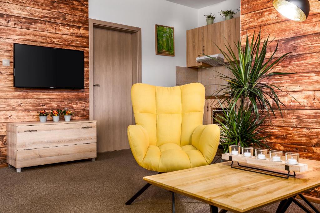 TV a/nebo společenská místnost v ubytování Hilson Jasna - Garden resort