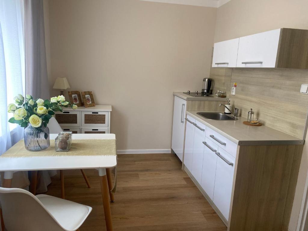 Kuchyň nebo kuchyňský kout v ubytování STING Apartments Havířov