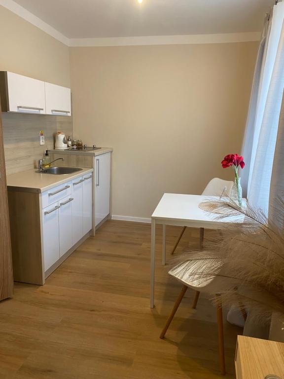 Kuchyň nebo kuchyňský kout v ubytování STING Apartments Havířov