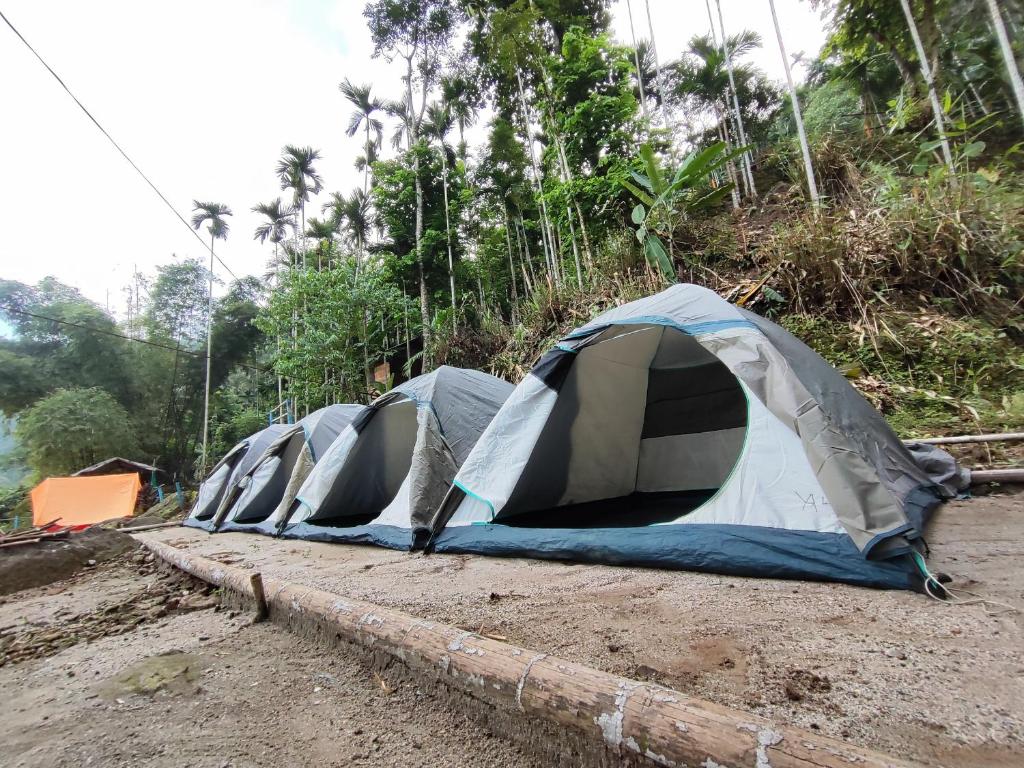 una fila di tende su una strada sterrata di Rivers EdegesRetreat campsite a Dawki