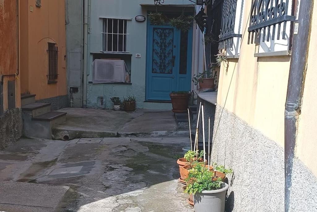 Une allée avec une porte bleue et quelques plantes en pot dans l'établissement Casa Anna, à Borgio Verezzi