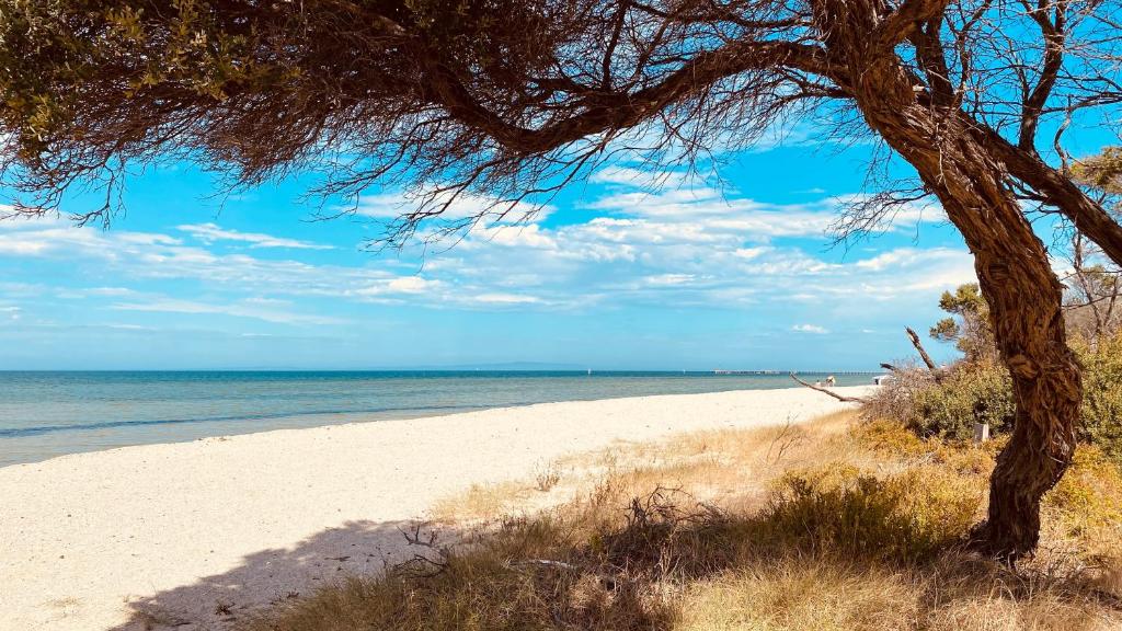 Beach sa o malapit sa holiday home