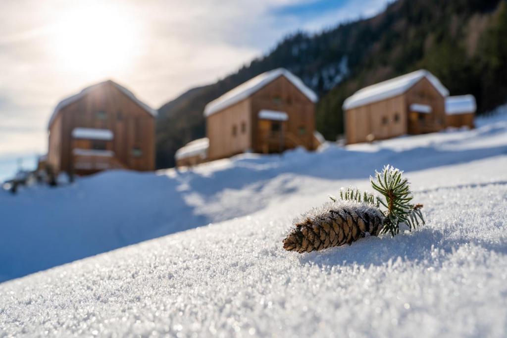 HOCHoben Chalets & Mobilhomes v zimě
