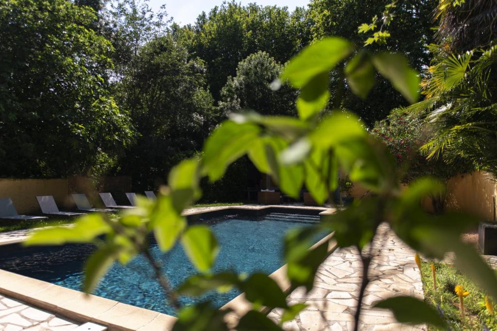 Θέα της πισίνας από το La Draperie des Saptes, piscine proche Carcassonne ή από εκεί κοντά