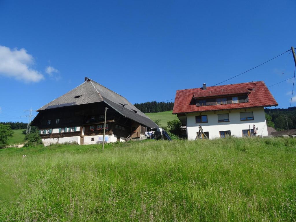una casa antigua con techo de paja en un campo en Hinterbauernhof Fewo Pferdeglück, en Stegen