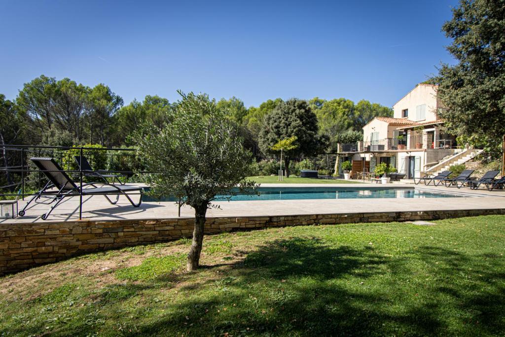 a small tree in a yard next to a swimming pool at Mas lou Félibrige in Venelles