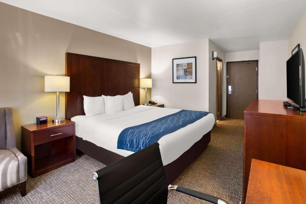 Comfort Inn Lacey - Olympia - King Room - Non-Smoking