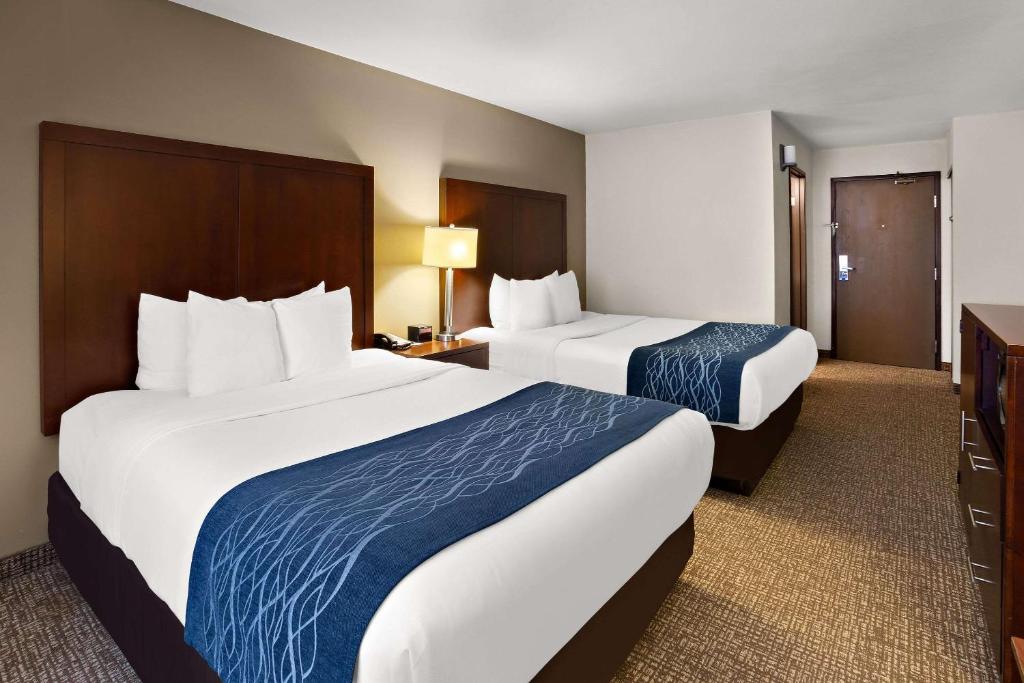 Comfort Inn Lacey - Olympia - Queen Room With Two Queen Beds - Non-Smoking