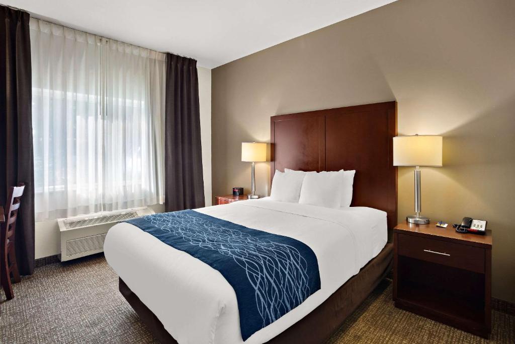 Comfort Inn Lacey - Olympia - Queen Room - Non-Smoking