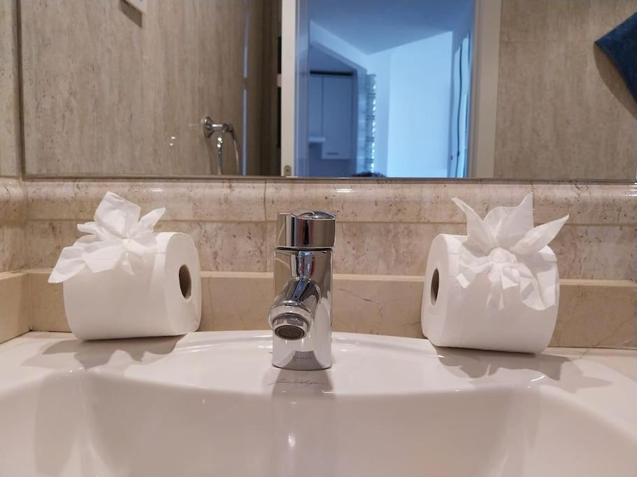 a bathroom sink with a faucet and two rolls of toilet paper at Casa con piscina in Madrid