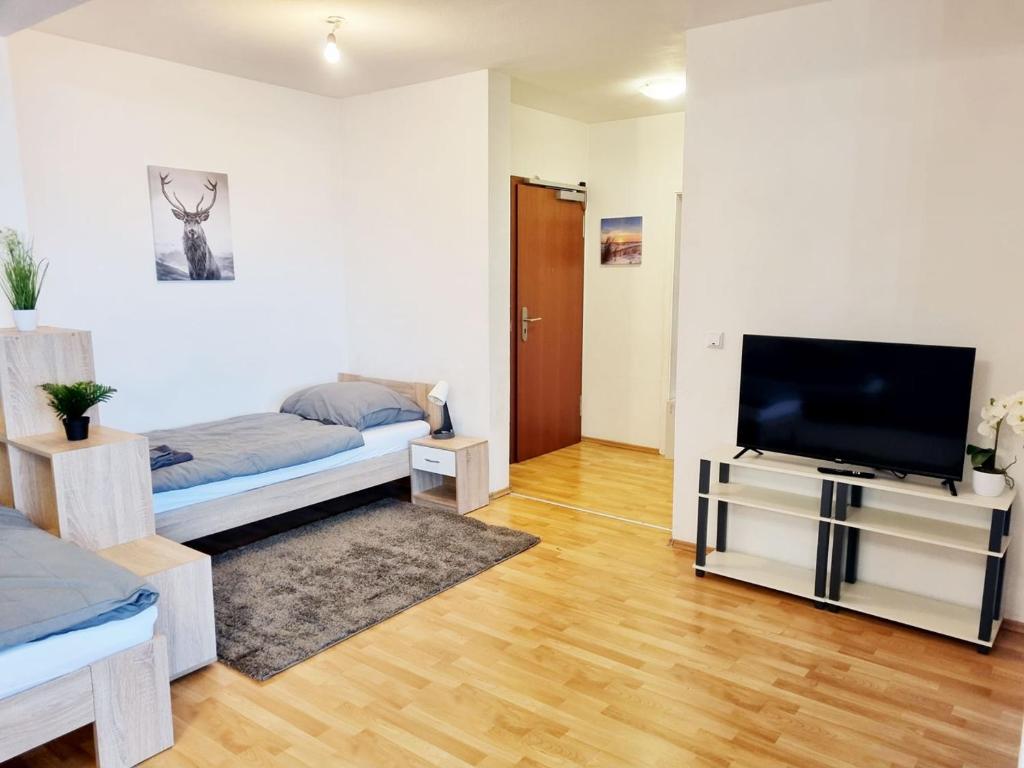 sala de estar con cama y TV de pantalla plana en Main Apartments in Hattersheim, en Hattersheim