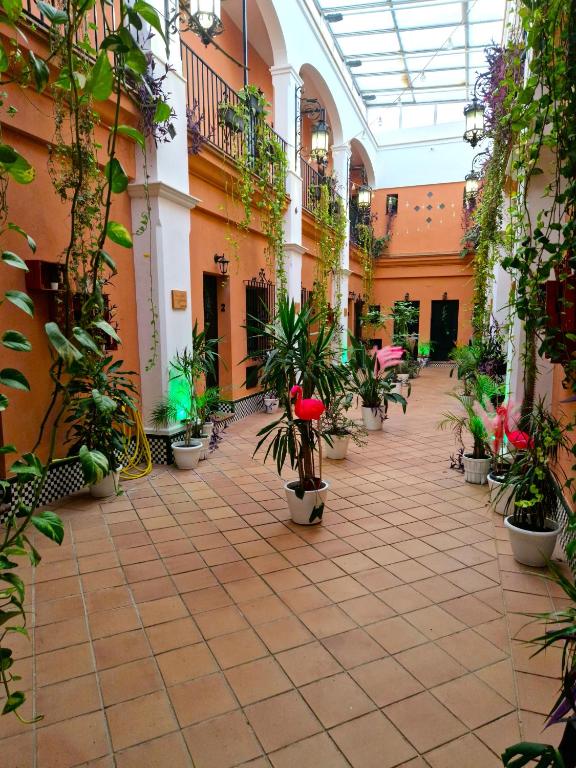 a courtyard with potted plants in a building at Alojamiento Rural Flamingo in El Rocío