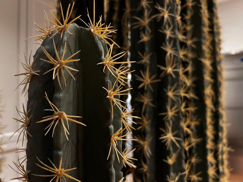 Porta Nera Private Living - adults only - Resim 28