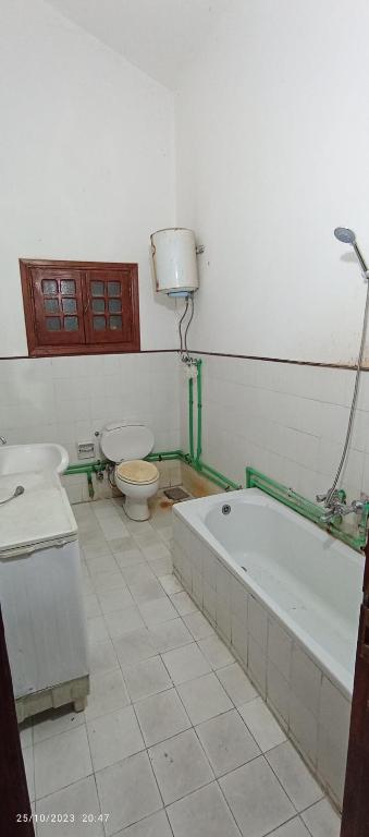 سما العريش