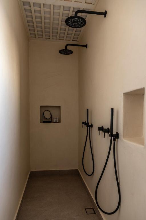 Nysis Koufonisia - 13