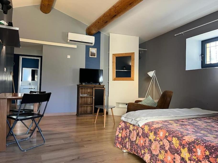 1 dormitorio con 1 cama, escritorio y TV en Studio du petit caillou en Drôme provençale en Saint-Restitut