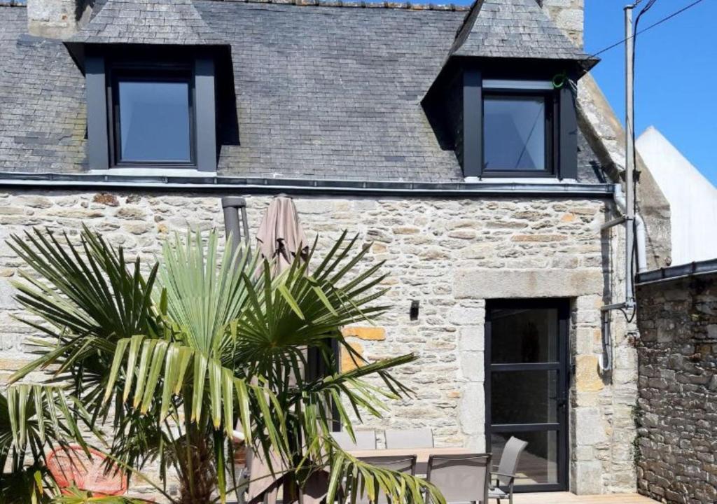 een stenen cottage met zwarte ramen en een palmboom bij Les Chaumines, St Cast le Guildo in Saint-Cast-le-Guildo