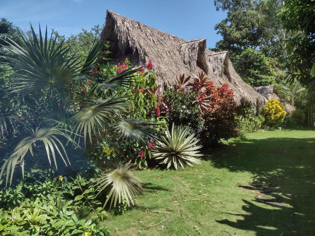 un jardín con plantas y techo de paja en Sexto Sentido Cabañas & Pan Frances en Palomino