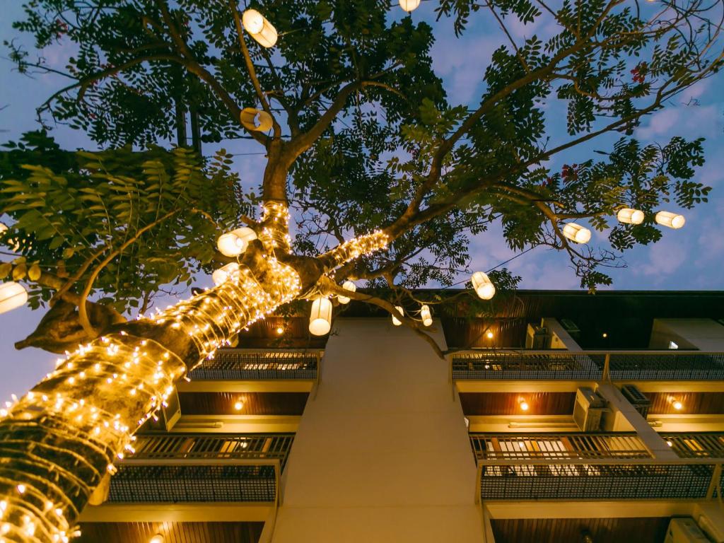 a christmas tree with lights in front of a building at Rendezvous Classic House in Chiang Mai