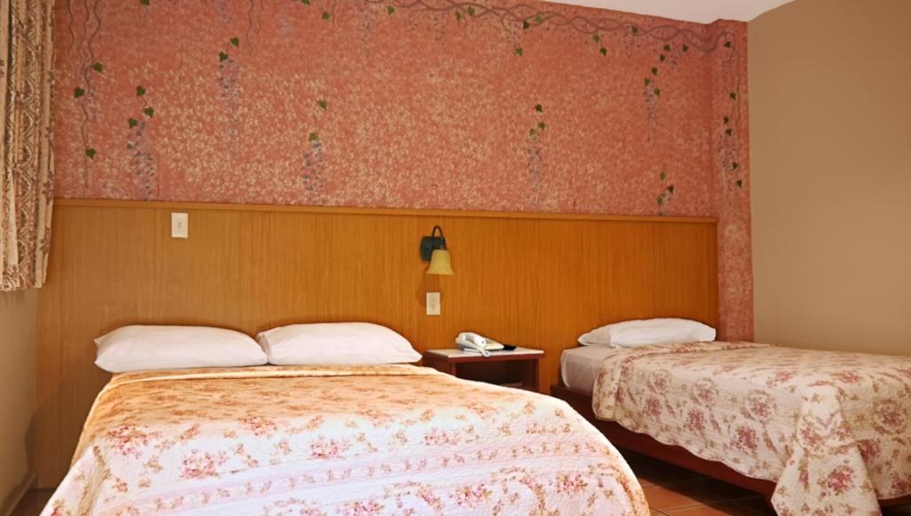 Voodi või voodid majutusasutuse Hotel Castilla toas