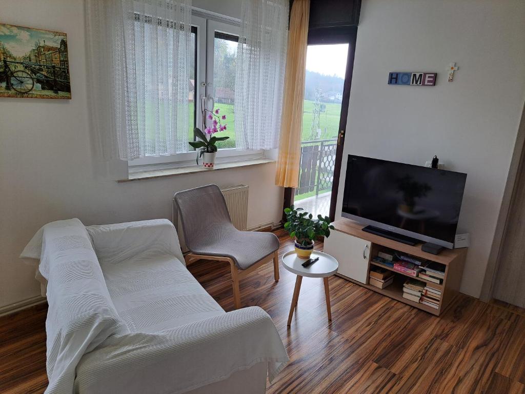 a living room with a white couch and a tv at Bukor Apartments in Lukovica pri Domžalah