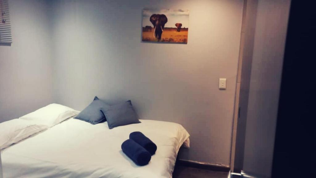 a bedroom with a white bed with blue pillows at Wild Olive Inn 62 in Windhoek
