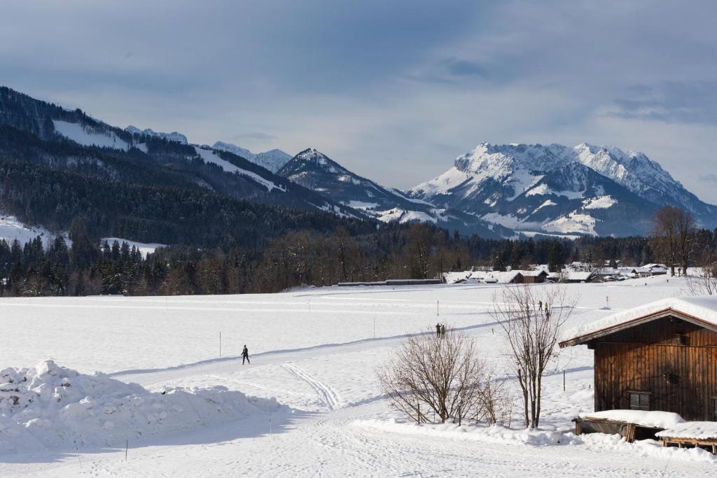Hotel Sonnleiten talvel