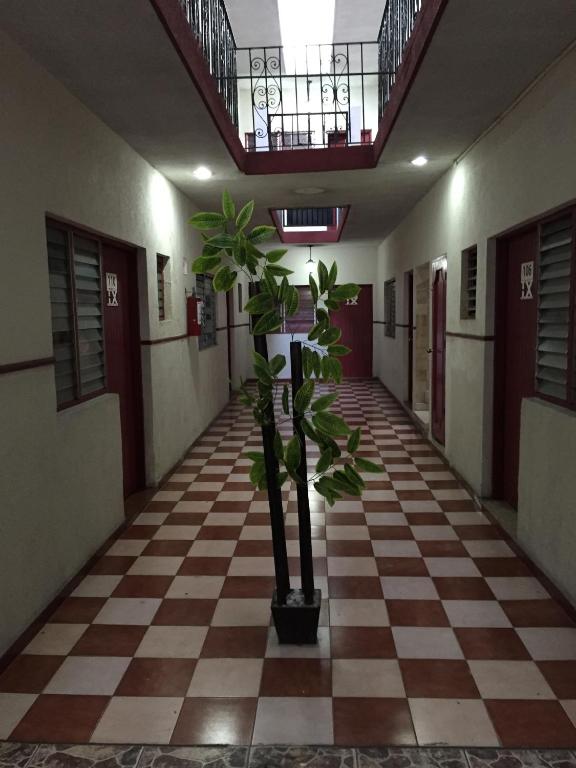 Fotografie z fotogalerie ubytování Hotel Xalapa v destinaci Veracruz