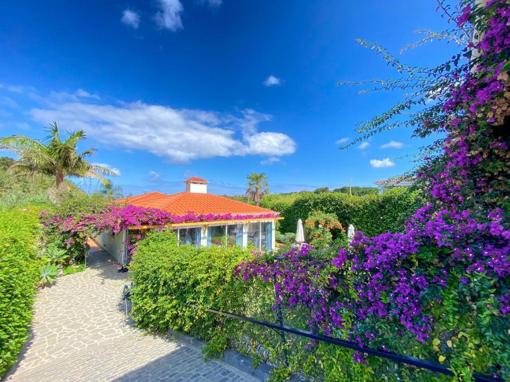 een huis met paarse bloemen ervoor bij Casa da Ribeira Cottage in Ribeira Grande