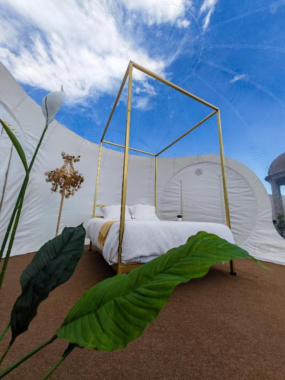Fotografie z fotogalerie ubytování Hotel Wanderlive v destinaci Querétaro